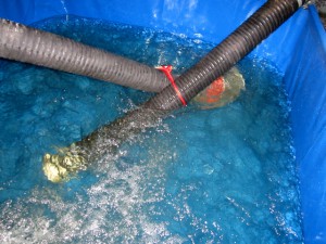 16. September 2014 lange Schlauchstrecke